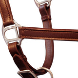 Vidaxl Halster Pony réglable Real Leather Brown