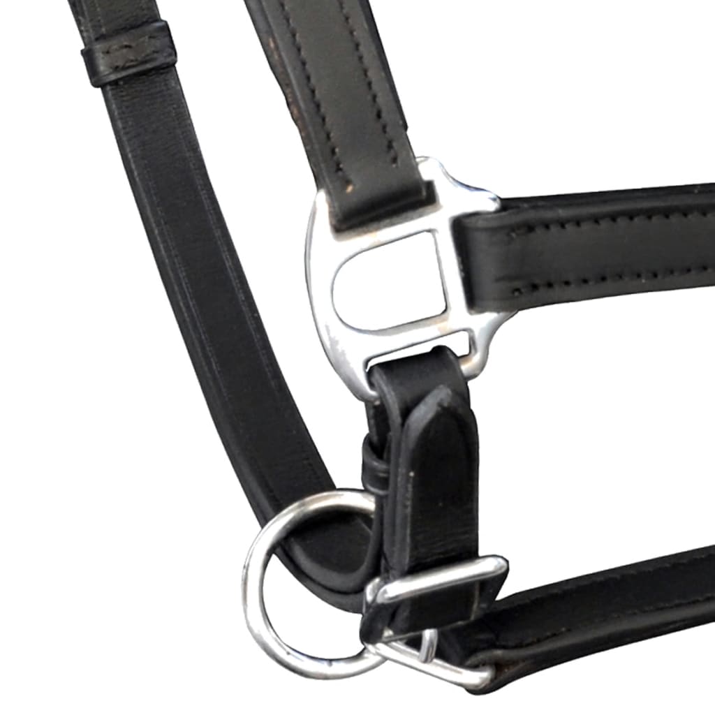 Vidaxl Halster Pony réglable Real Leather Black