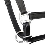 Vidaxl Halster Pony réglable Real Leather Black