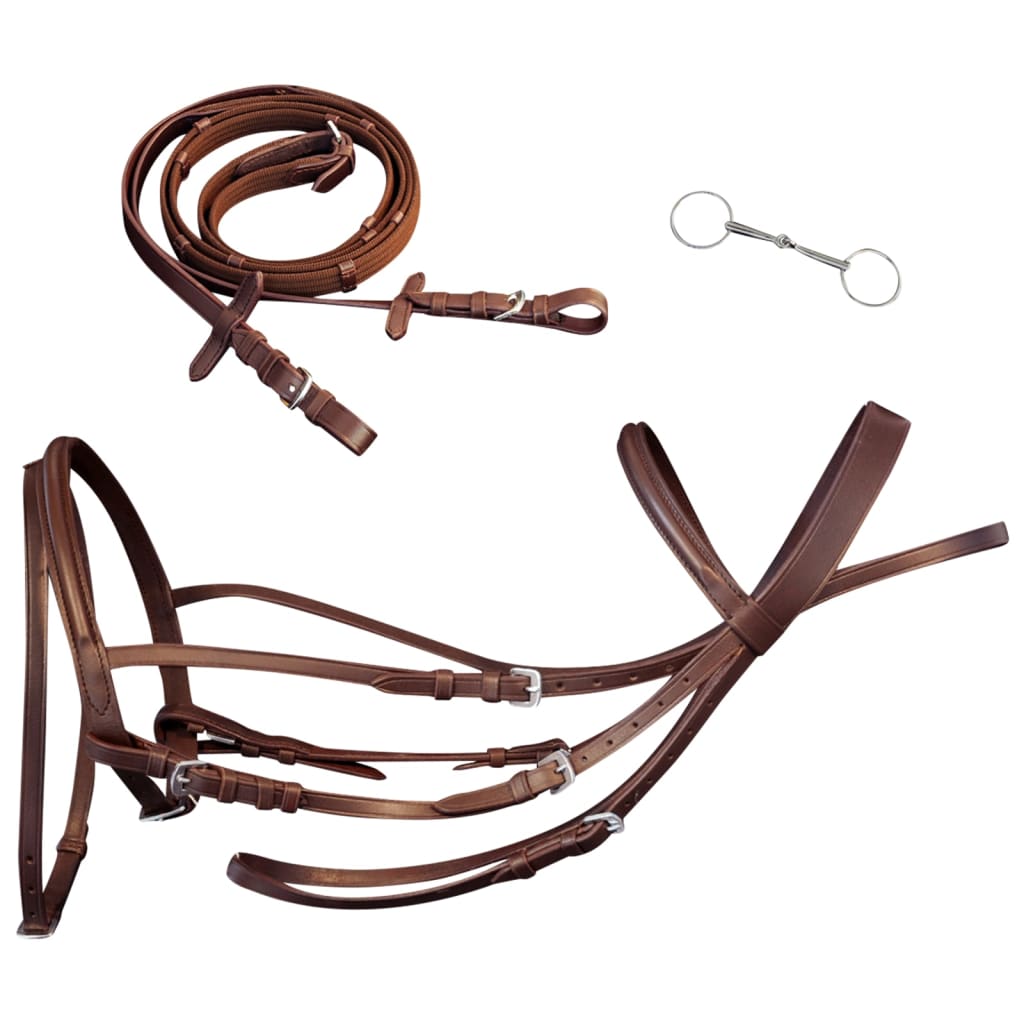 Vidaxl Bridle Leather med kombinert nesebånd, tøyler og litt brun cob