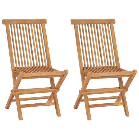 Vidaxl tuinstoelen inklapbaar 2 st massief teakhout