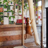 Quapas! Kletterbeutel für Katzen 180 cm Sisal
