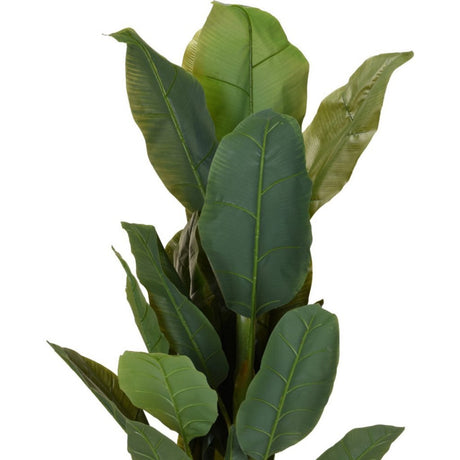 Overige merken kunstplant bananenboom 80x165 cm groen