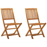 Vidaxl tuinstoelen inklapbaar 2 st massief acaciahout