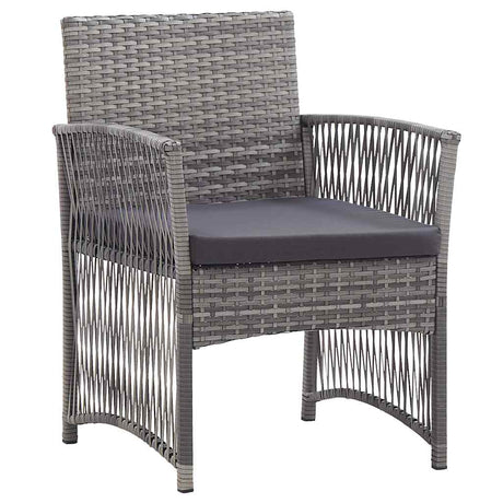 Vidaxl tuinstoelen met kussens 2 st poly rattan antraciet