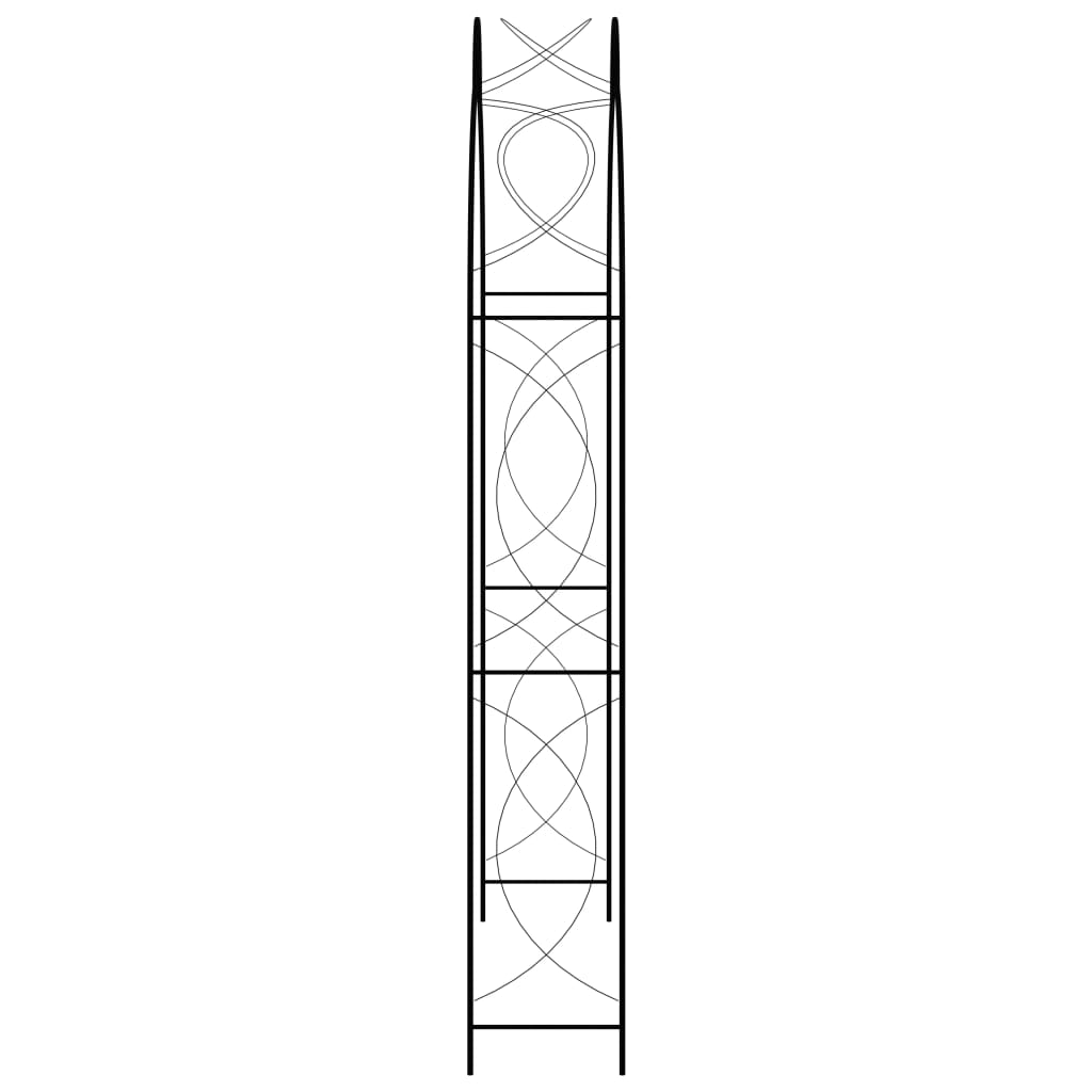 Vidaxl jardin arc 150x34x240 cm de fer noir