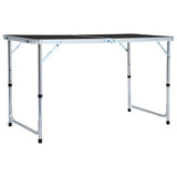 VIDAXL Camping Tabelle zusammenklappbar 120 x 60 cm Aluminiumgrau