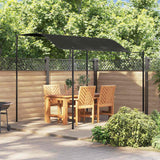 Vidaxl sun canopy 3x2.4 m anthracite