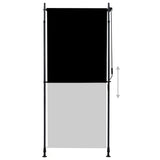 Vidaxl Rouleau aveugle pour l'extérieur de 100x270 cm anthracite