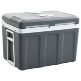Vidaxl Cool Box Thermoelektrisch tragbar 12 V 230 V E 40 l