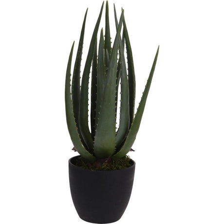 Andere Marken Kunstpflanze Aloe Vera 25x45 cm grün