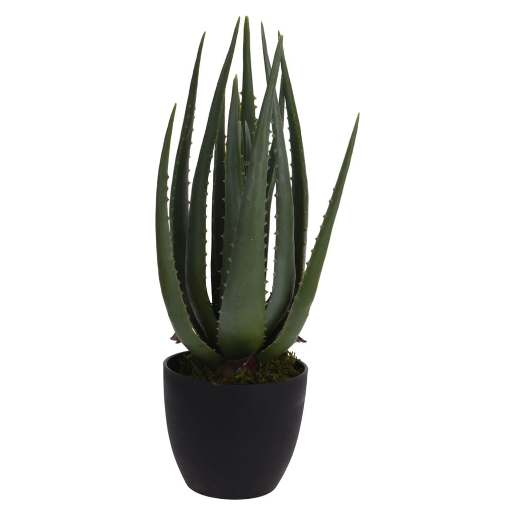 Progarden Progarden Künstliche Pflanze in Topf Aloe Vera 25x45 cm