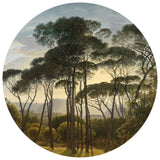 Wallart Wallart Wallow Circle paraply Pines i Italien 142,5 cm