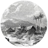 Wallart Wallow Circle Landschaft von Guadeloupe 190 cm