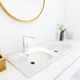 Vidaxl Washbasin construit -in Double 1205x460x145 mm SMC blanc