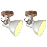 Vidaxl Wall ceiling lamps Industrial 2 st e27 20x25 cm silver colored