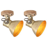 Vidaxl Wall ceiling lamps Industrial 2 st e27 20x25 cm brass color