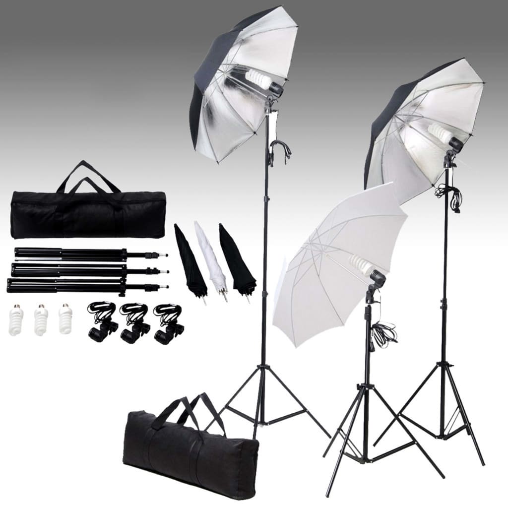 Vidaxl Photo Studio mam Lighting Set an Hannergrond