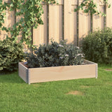 Vidaxl Planter huet 50x100 cm zolidd Péng opgeworf