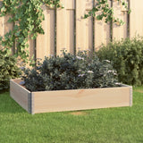 Vidaxl planter hævede 100x100 cm solid fyrretræ