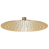 Vidaxl Regenduschkopf rund 25 cm Edelstahl Gold gefärbt