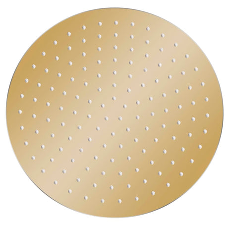 Vidaxl Regenduschkopf rund 30 cm Edelstahl Gold gefärbt