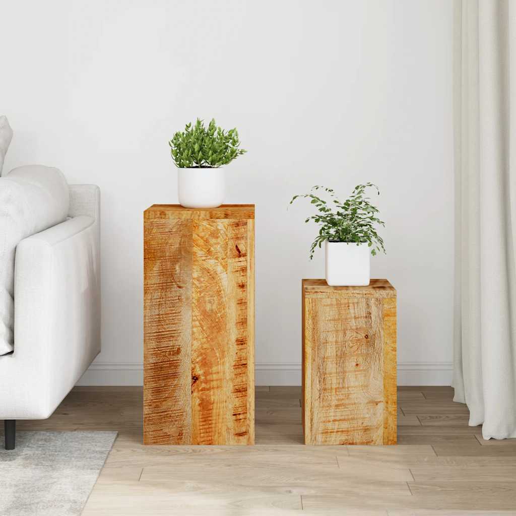 Vidaxl Plant Standards 2 Pcs Solid Mango Wood