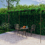 Vidaxl Tuinpergola 6x3x2.5 M Iron Antique Brown