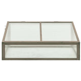 Vidaxl Greenhouse 100x65x40 cm Vurenhout