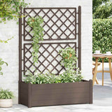 VIDAXL -Pflanzer mit Latwerk 100x43x142 cm pp mokka