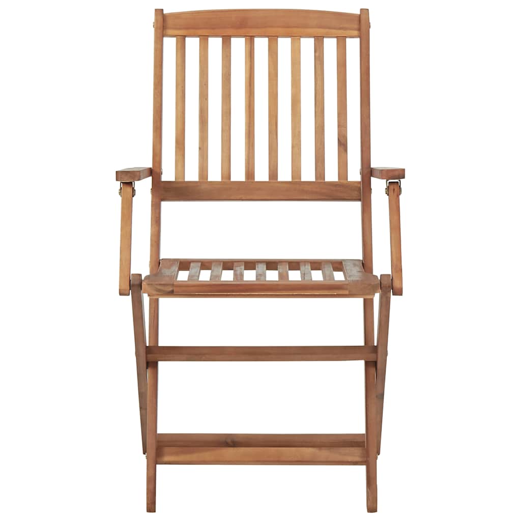 Vidaxl tuinstoelen 2 st inklapbaar massief acaciahout