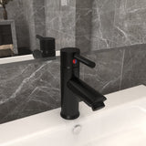 VIDAXL WASHBAINACER 130X176 MM Schwarz