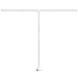 Vidaxl Laifel Pole Set 300x245 cm Iron White