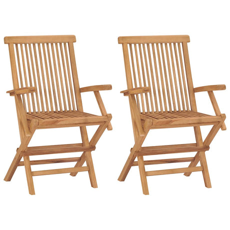 Vidaxl tuinstoelen 2 st met lichtblauwe kussens massief teakhout