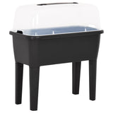 VIDAXL -Planungsbox erhöht 77x38.7x82 cm pp