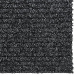 Vidaxl droogloopmat 100x250 cm anthrazit -gelöscht