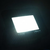 Vidaxl -Scheinwerfer 2 ST LED 10 W Kalt weiß