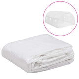 Vidaxl Kashoes Ersatz (13,5 m²) 3x4,5x2 m transparent