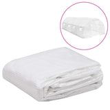 Vidaxl Kashoes Ersatz (18 m²) 3x6x2 m transparent