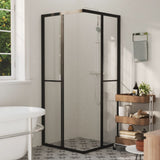 Cabine de douche Vidaxl 80x80x180 cm ESG