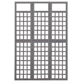 Vidaxl kamerscherm trellis met 3 panelen 121x180 cm vurenhout grijs