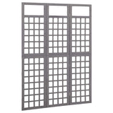 Vidaxl kamerscherm trellis met 3 panelen 121x180 cm vurenhout grijs