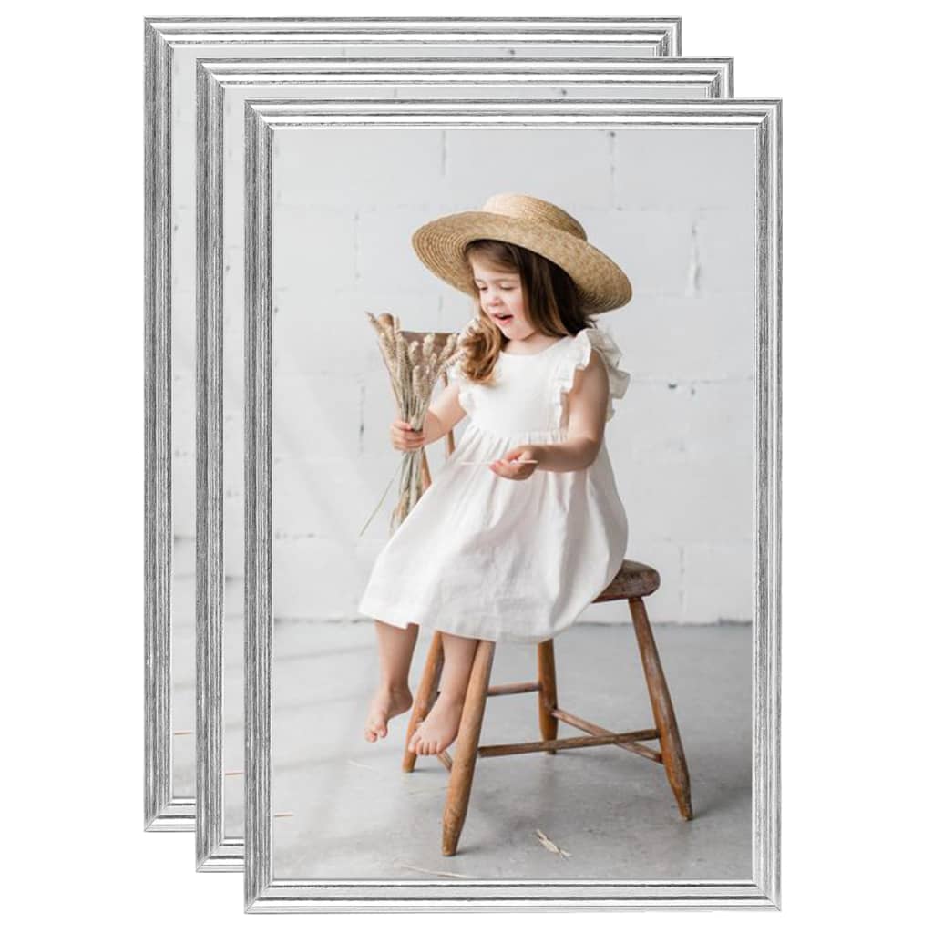 Vidaxl -Fotorahmen 3 PCs für Tabelle 21x29.7 cm Silberfarbe