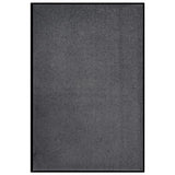 VIDAXL PORTOMAT 80x120 cm Anthrazit -gepflegt