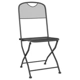 Vidaxl tuinstoelen inklapbaar 2 st metaalgaas antracietkleurig