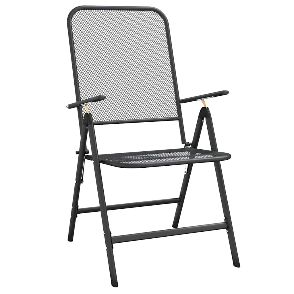 Vidaxl tuinstoelen inklapbaar 2 st metaalgaas antracietkleurig