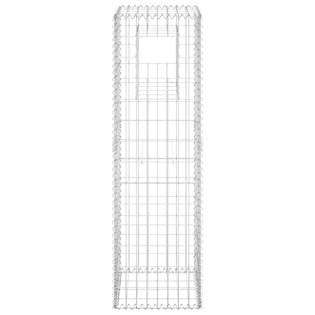 Vidaxl shananskorf Polen 40x4xx140 cm Eisen