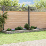 Vidaxl Gabion -Pflanzer vermehrte 300x100x20 cm verzinkter Stahl