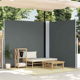 VIDAXL -Windschutzscheibe ausziell 220 x 600 cm Anthrazit -gelöscht