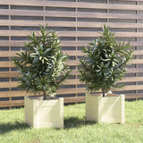 Vidaxl Planters 2 St 31x31x31 cm trden borov bel